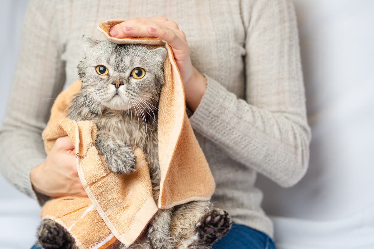 Productos de higiene para mascotas en Narón