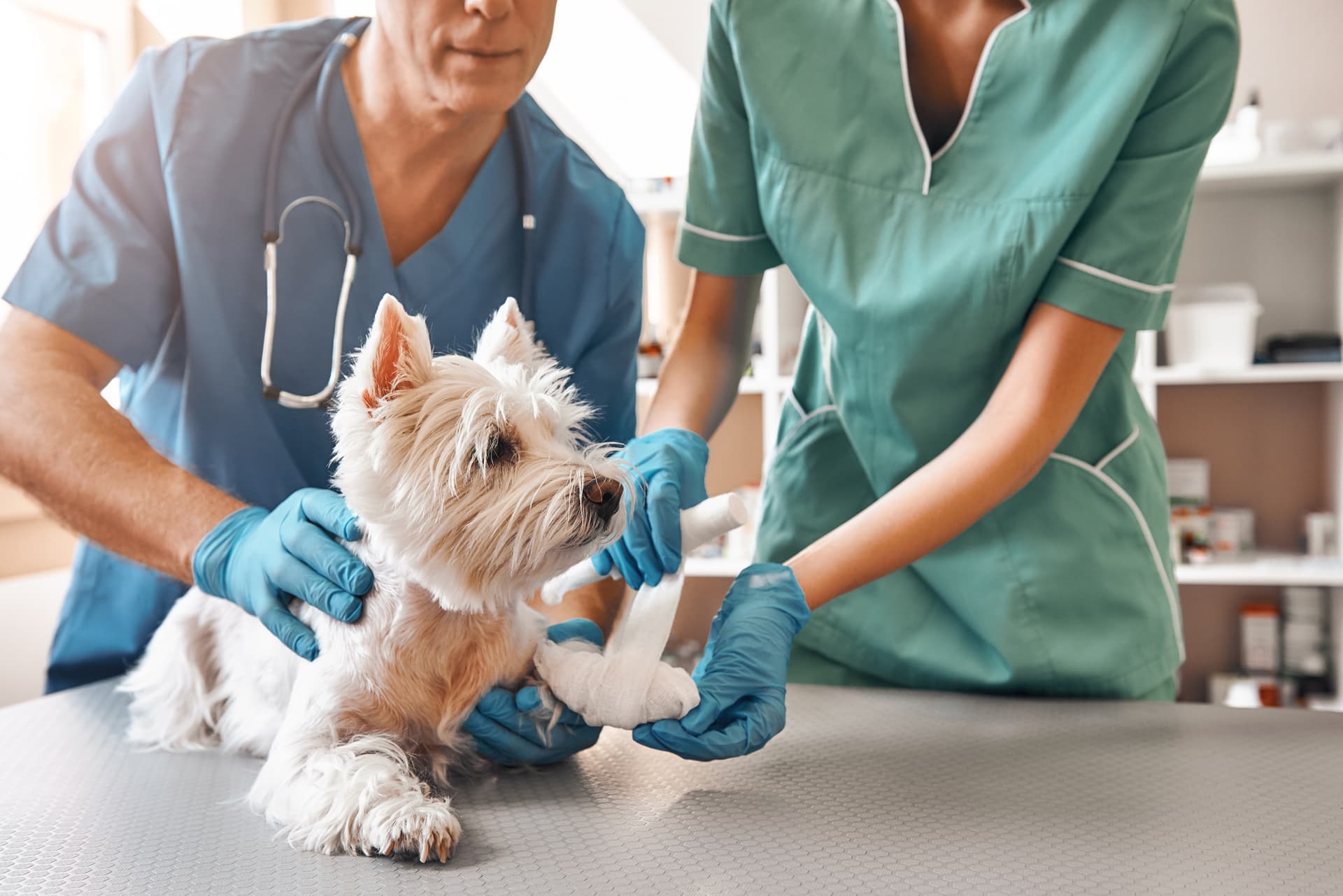 Clínica veterinaria en Narón